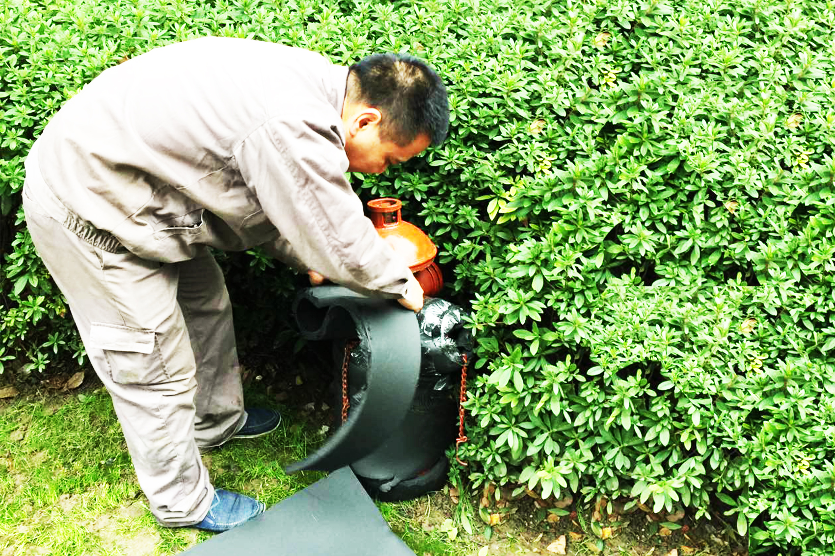 大寒将至，抗寒指南请您收好