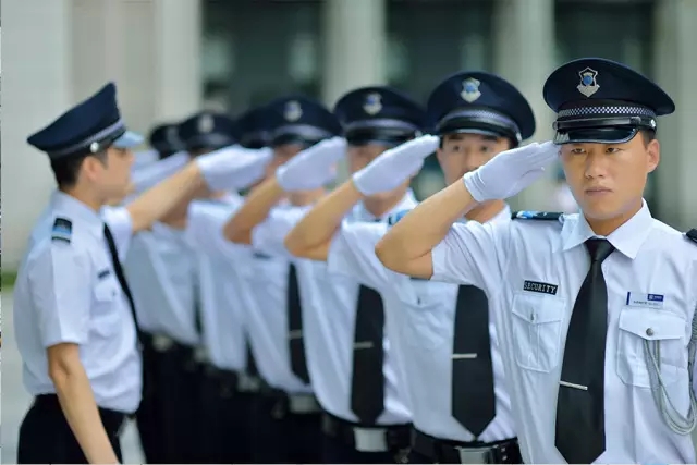 精进专业技能，共护和谐家园