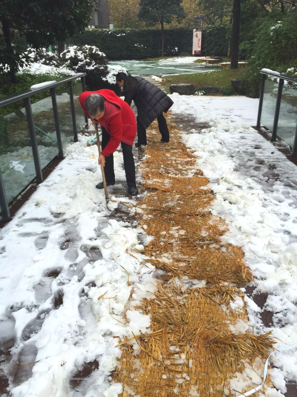 14494740561077086B7A.jpg 2.jpg