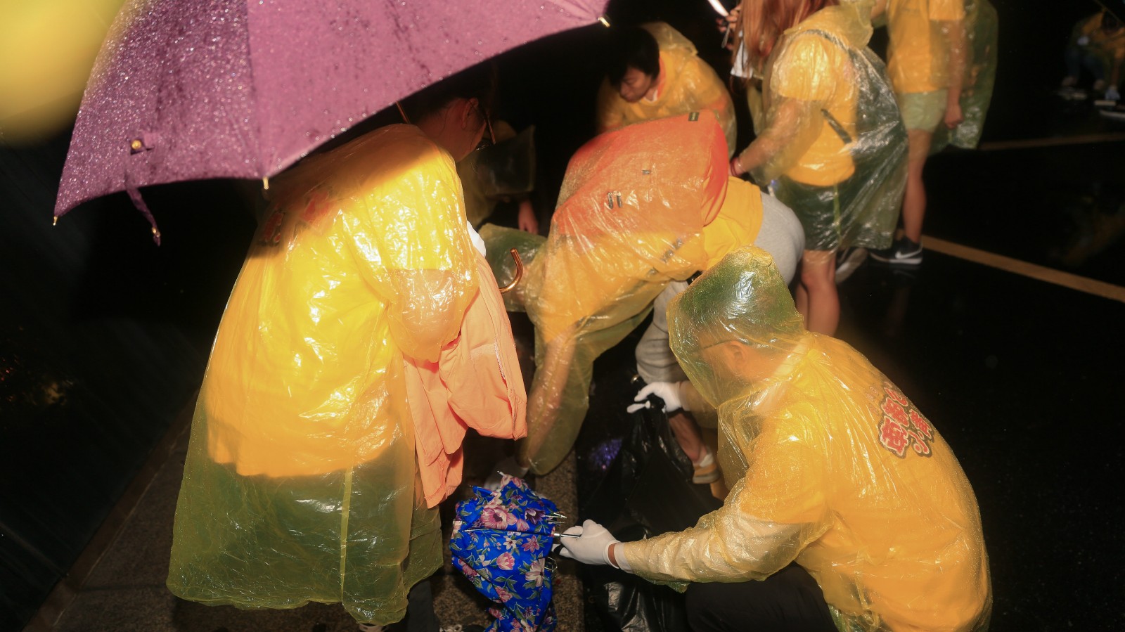 1473851896762437128F.jpg 11.jpg