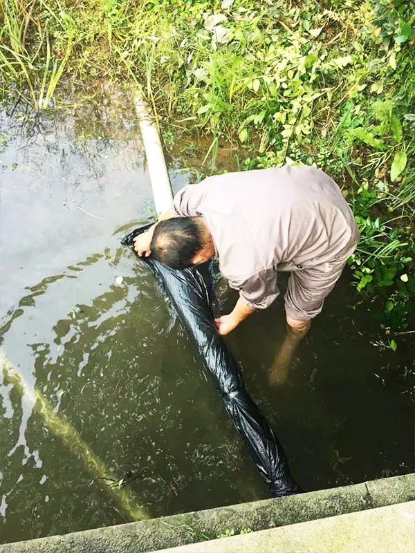 14845452901235612B24.jpg 640.webp (8).jpg