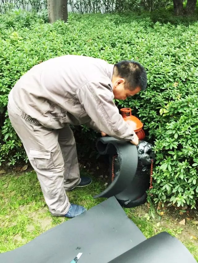 14845453106156557935.jpg 640.webp (9).jpg