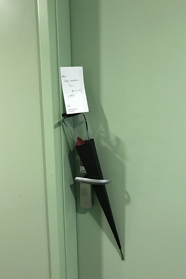 1487152846313615A348.jpg 2.jpg