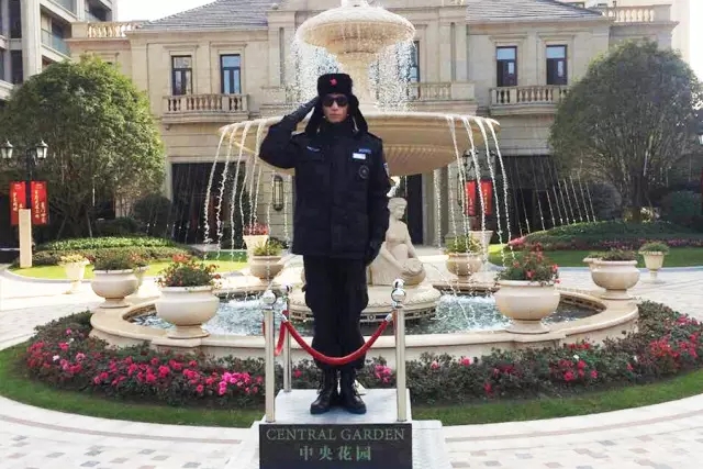 14909238041316129261.jpg 640.webp (16).jpg