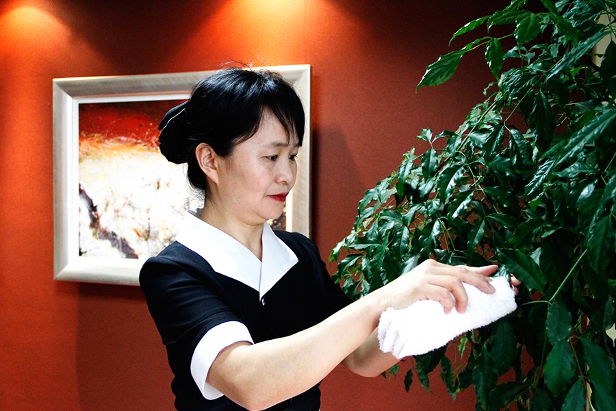 1492739877688078C1EC.jpg 4.jpg