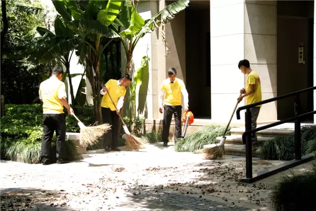 1493975223672156847A.jpg 640.webp (2).jpg