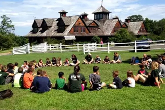 14954206192777271041.jpg 640.webp (1).jpg