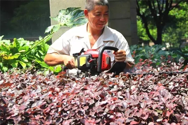 14957625221340822897.jpg 640.webp (9).jpg