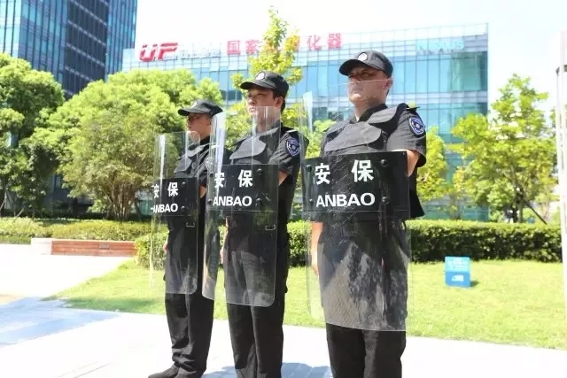 15239359563496763520.jpg 640.webp (2).jpg